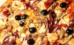 Locust pizza